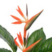 Plantă artificială Strelitzia cu ghiveci, roșu, 100 cm - WALTI WALTI