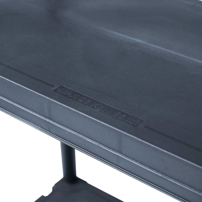 Rafturi de depozitare, 2 buc. negru, 60 x 30 x 138 cm plastic - WALTI WALTI