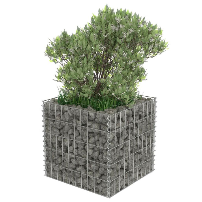 Strat înălțat gabion, 50 x 50 x 50 cm, oțel galvanizat - WALTI WALTI