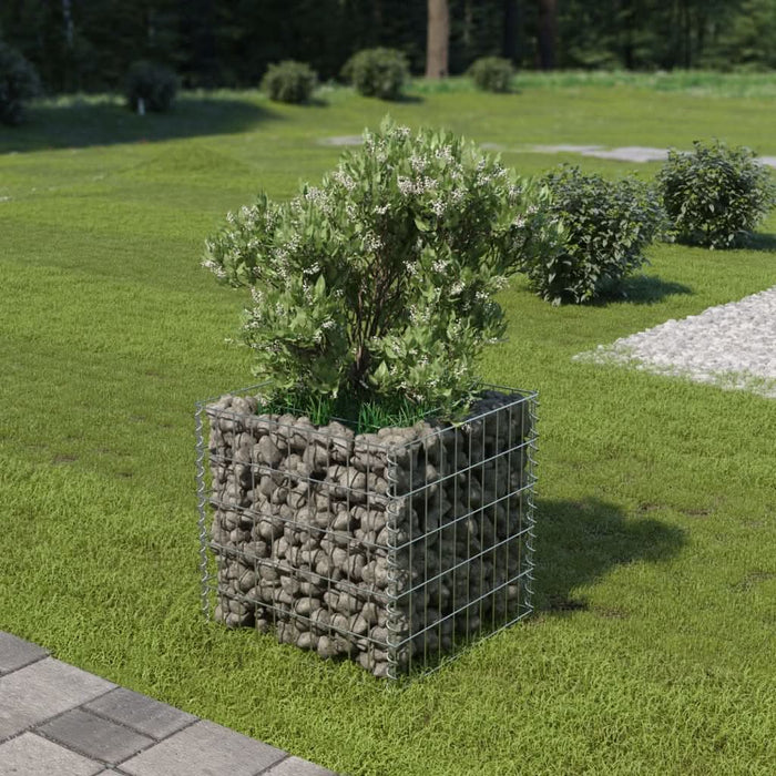 Strat înălțat gabion, 50 x 50 x 50 cm, oțel galvanizat - WALTI WALTI