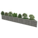 Gabion perete, oțel galvanizat, 450 x 30 x 50 cm - WALTI WALTI