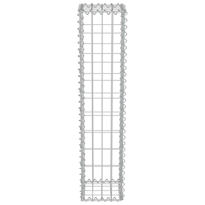 Perete gabion cu capace, 20x20x100 cm, oțel galvanizat - WALTI WALTI