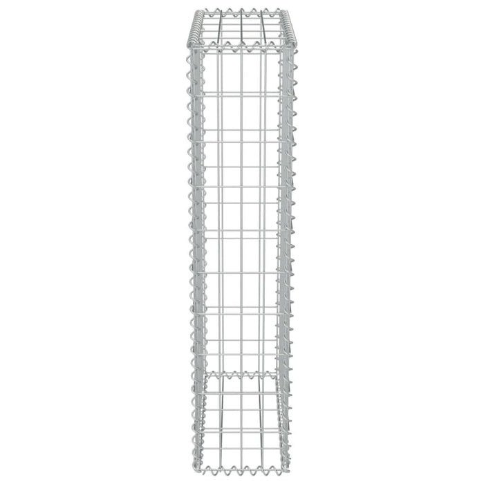 Perete gabion cu capace, 50 x 20 x 100 cm, oțel galvanizat - WALTI WALTI
