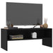Dulap TV, negru, 100x40x40 cm, lemn prelucrat - WALTI WALTI