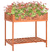 Jardinieră plante aromatice, 80x60x80 cm, lemn masiv de brad - WALTI WALTI