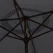 Umbrelă de soare de exterior cu stâlp metalic, negru, 300 cm - WALTI WALTI