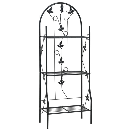 Suport de plante, 3 niveluri, negru, 52 x 28 x 128 cm, fier - WALTI WALTI