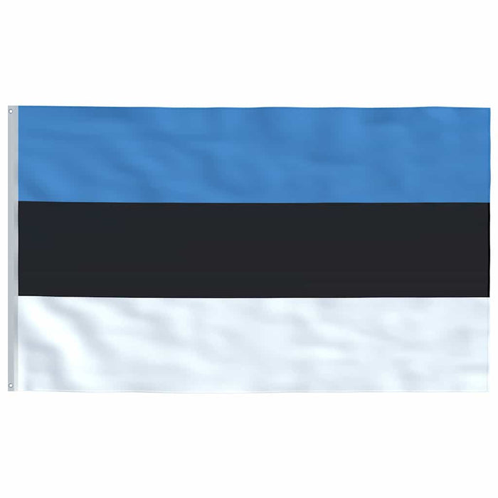 Steag Estonia, 90 x 150 cm WALTI