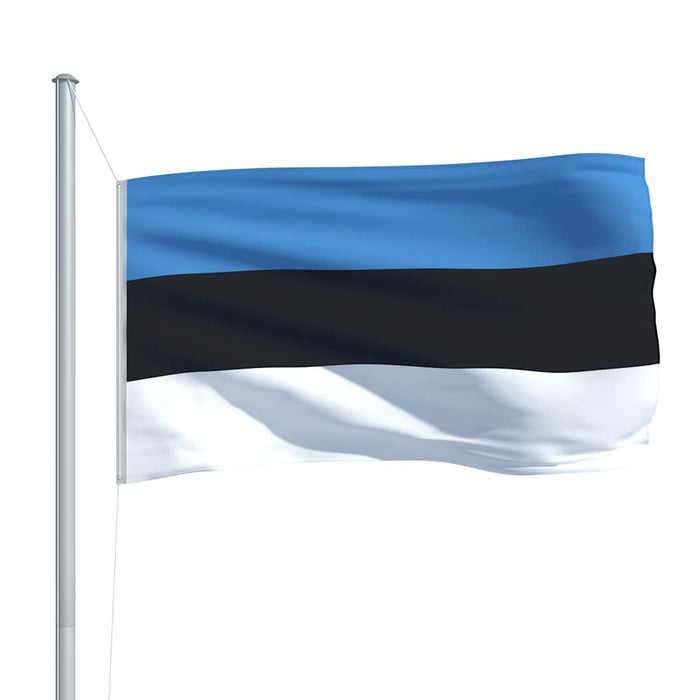 Steag Estonia, 90 x 150 cm WALTI
