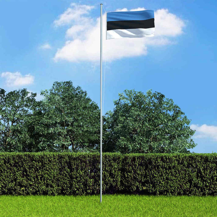 Steag Estonia, 90 x 150 cm WALTI