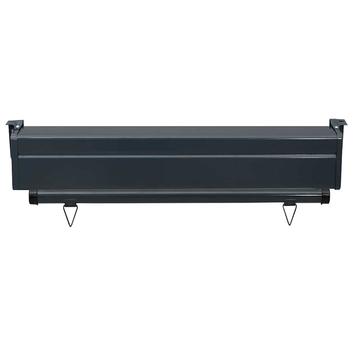 Copertină laterală de balcon, negru, 80 x 250 cm - WALTI WALTI