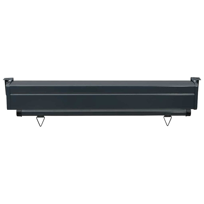 Copertină laterală de balcon, crem, 100 x 250 cm - WALTI WALTI