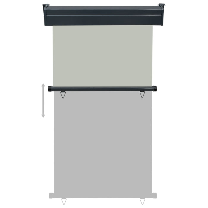 Copertină laterală de balcon, gri, 100 x 250 cm - WALTI WALTI