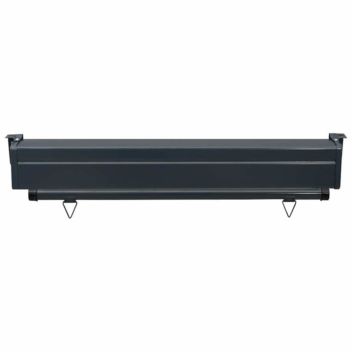 Copertină laterală de balcon, maro, 100 x 250 cm - WALTI WALTI