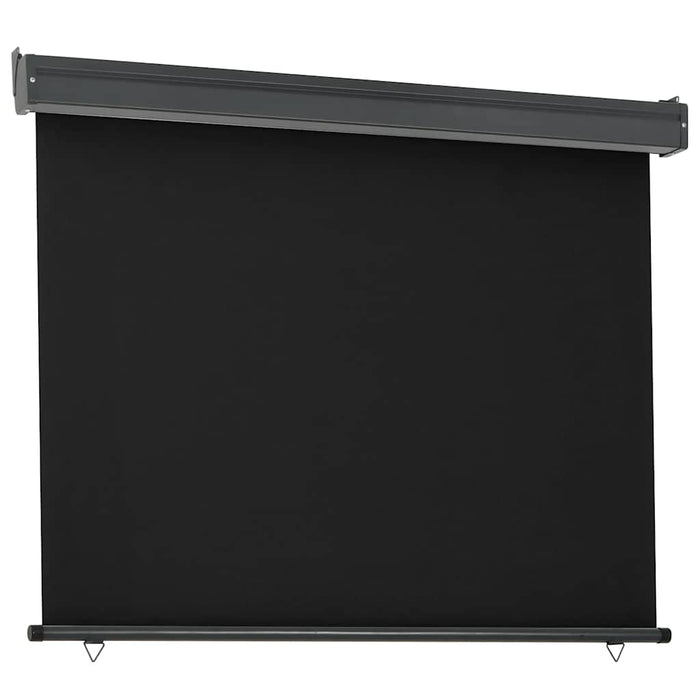 Copertină laterală de balcon, negru, 125 x 250 cm - WALTI WALTI
