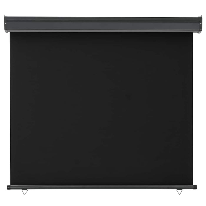 Copertină laterală de balcon, negru, 125 x 250 cm - WALTI WALTI