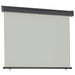 Copertină laterală de balcon, gri, 125 x 250 cm - WALTI WALTI