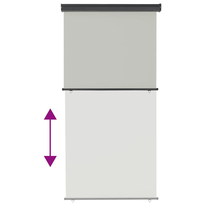 Copertină laterală de balcon, gri, 125 x 250 cm - WALTI WALTI