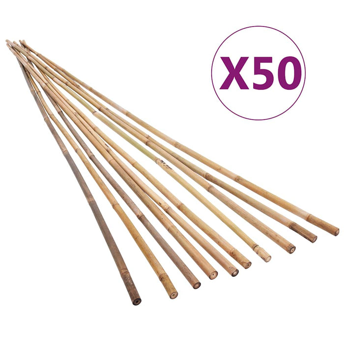 Bețe de bambus de grădină, 50 buc., 170 cm WALTI