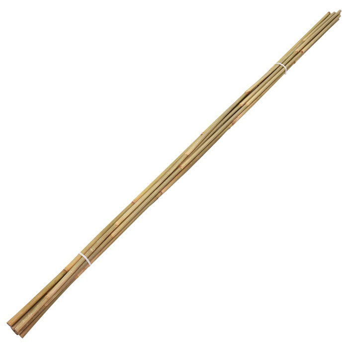 Bețe de bambus de grădină, 50 buc., 170 cm WALTI
