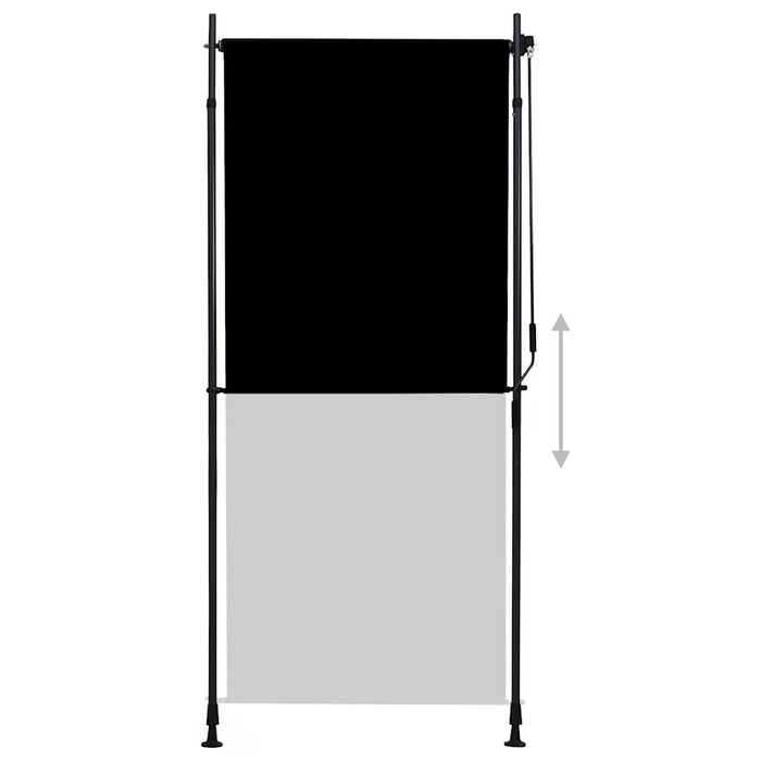 Jaluzea tip rulou de exterior, antracit, 100 x 270 cm - WALTI WALTI