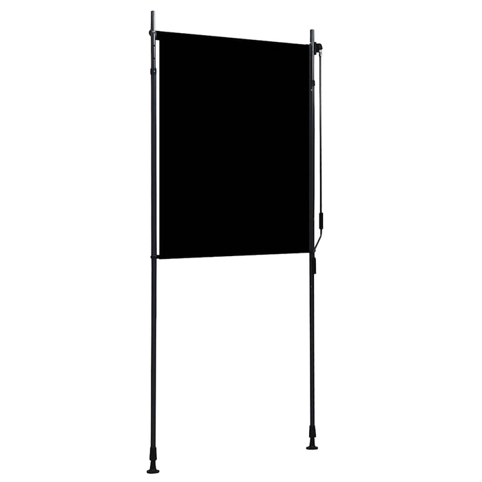 Jaluzea tip rulou de exterior, antracit, 100 x 270 cm - WALTI WALTI