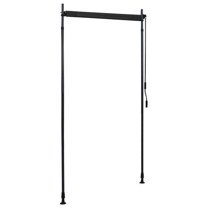 Jaluzea tip rulou de exterior, antracit, 100 x 270 cm - WALTI WALTI