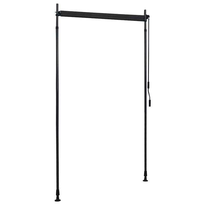 Jaluzea tip rulou de exterior, antracit, 120 x 270 cm - WALTI WALTI