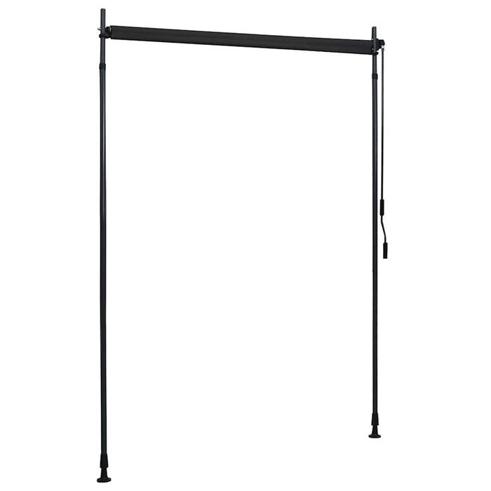 Jaluzea tip rulou de exterior, antracit, 150 x 270 cm - WALTI WALTI