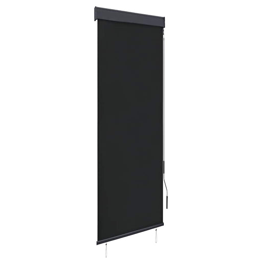 Jaluzea tip rulou de exterior, antracit, 60 x 250 cm - WALTI WALTI
