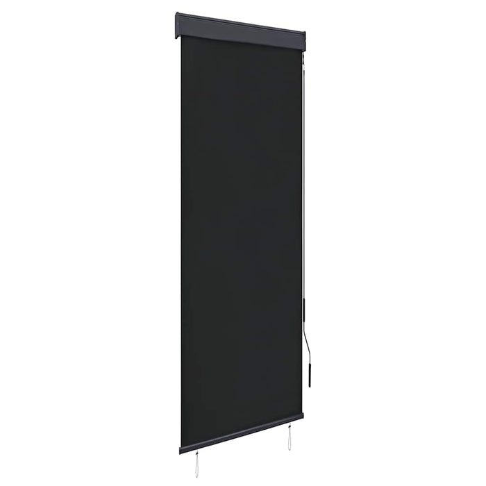 Jaluzea tip rulou de exterior, antracit, 60 x 250 cm - WALTI WALTI