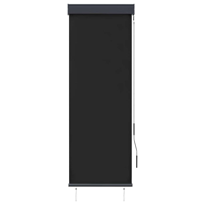 Jaluzea tip rulou de exterior, antracit, 60 x 250 cm - WALTI WALTI
