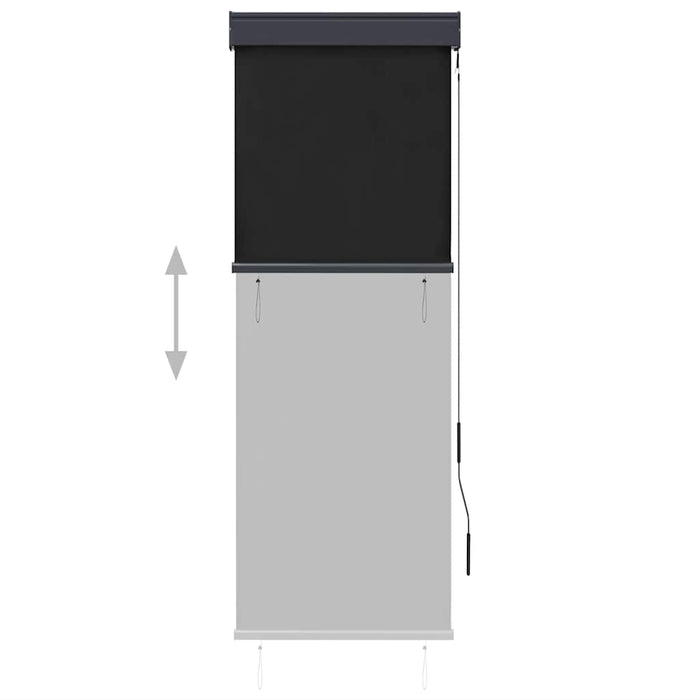 Jaluzea tip rulou de exterior, antracit, 60 x 250 cm - WALTI WALTI