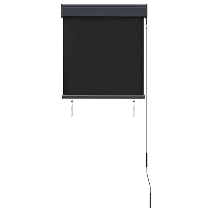 Jaluzea tip rulou de exterior, antracit, 60 x 250 cm - WALTI WALTI