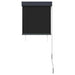 Jaluzea tip rulou de exterior, antracit, 60 x 250 cm - WALTI WALTI