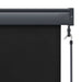 Jaluzea tip rulou de exterior, antracit, 60 x 250 cm - WALTI WALTI