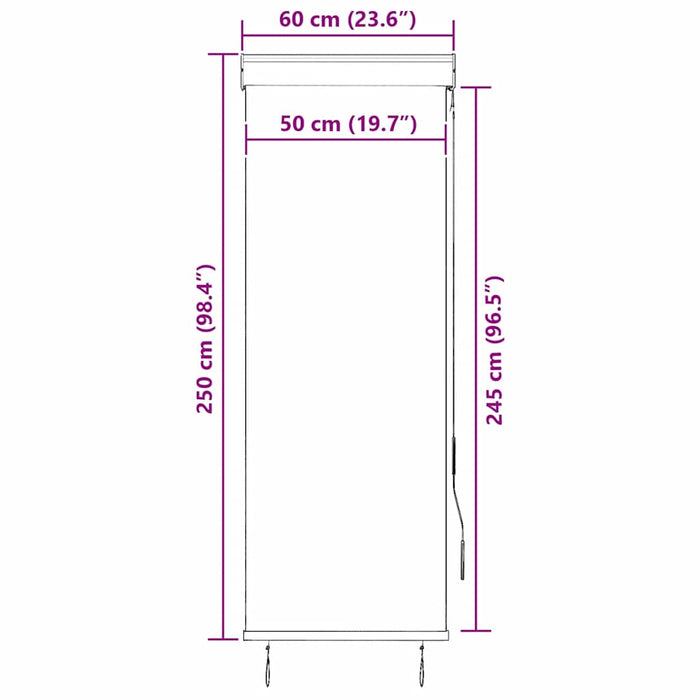 Jaluzea tip rulou de exterior, antracit, 60 x 250 cm - WALTI WALTI