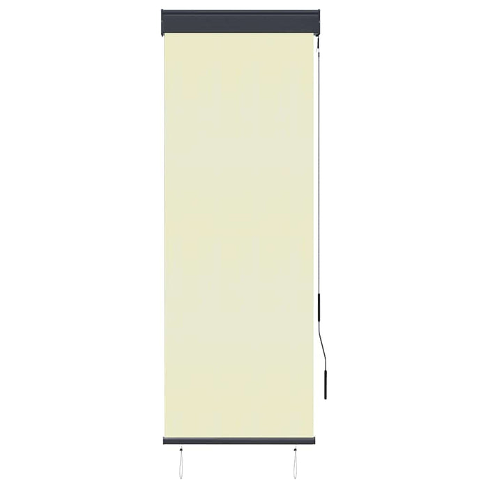 Jaluzea tip rulou de exterior, crem, 60 x 250 cm - WALTI WALTI