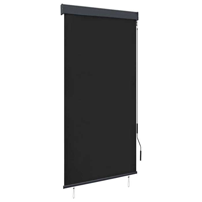 Jaluzea tip rulou de exterior, antracit, 80 x 250 cm - WALTI WALTI