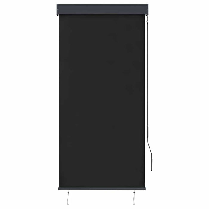 Jaluzea tip rulou de exterior, antracit, 80 x 250 cm - WALTI WALTI