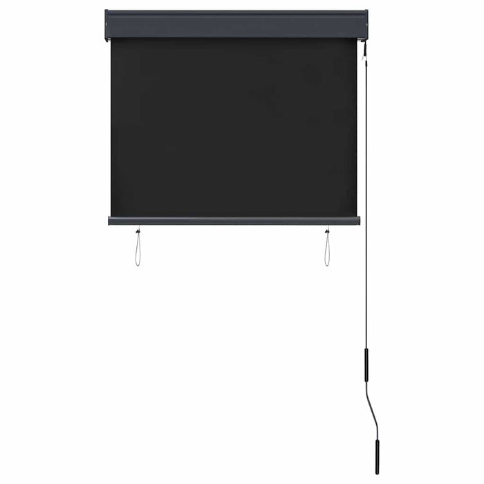 Jaluzea tip rulou de exterior, antracit, 80 x 250 cm - WALTI WALTI