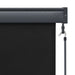 Jaluzea tip rulou de exterior, antracit, 80 x 250 cm - WALTI WALTI
