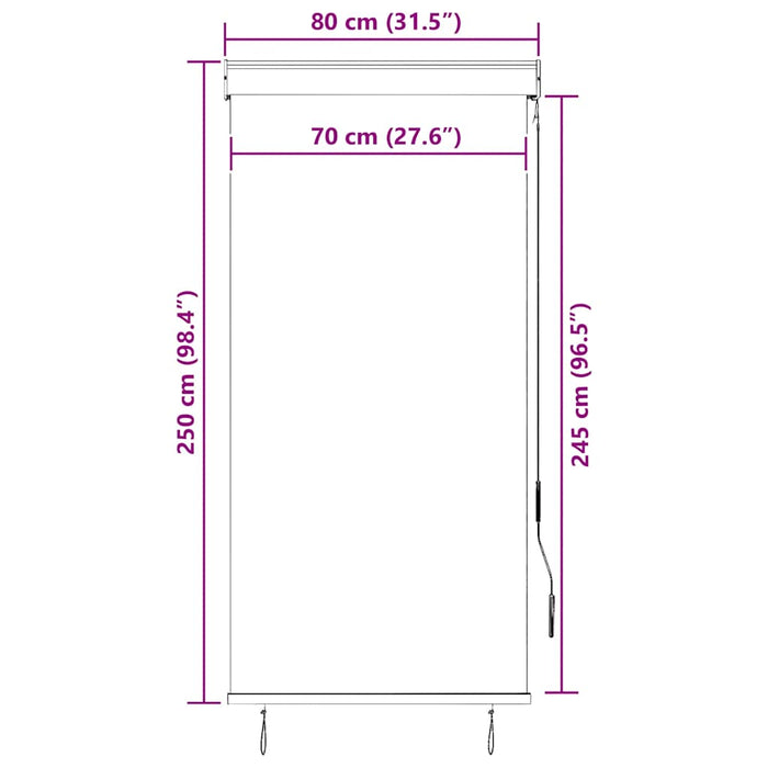 Jaluzea tip rulou de exterior, antracit, 80 x 250 cm - WALTI WALTI