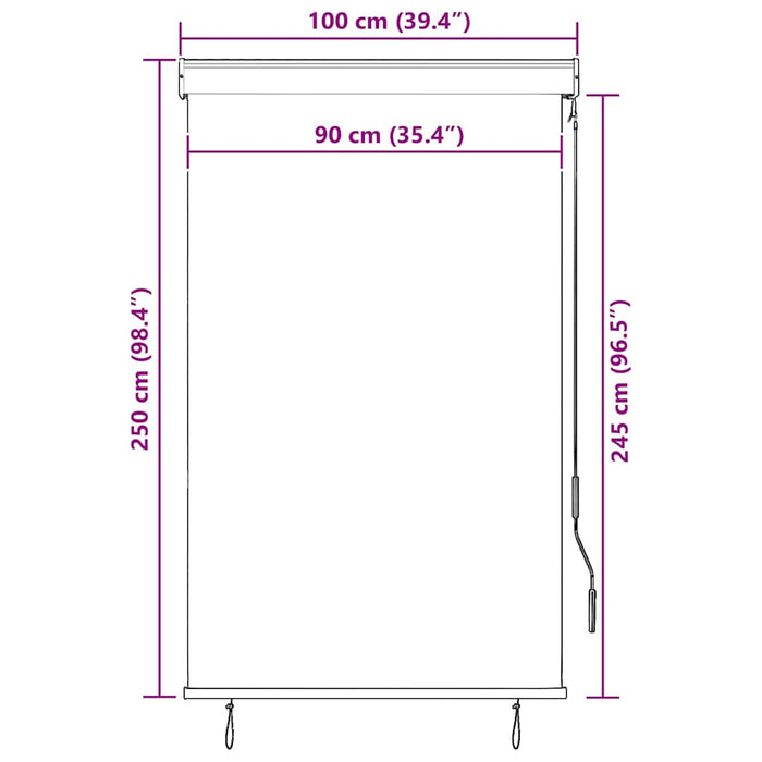 Jaluzea tip rulou de exterior, albastru și alb, 100 x 250 cm - WALTI WALTI