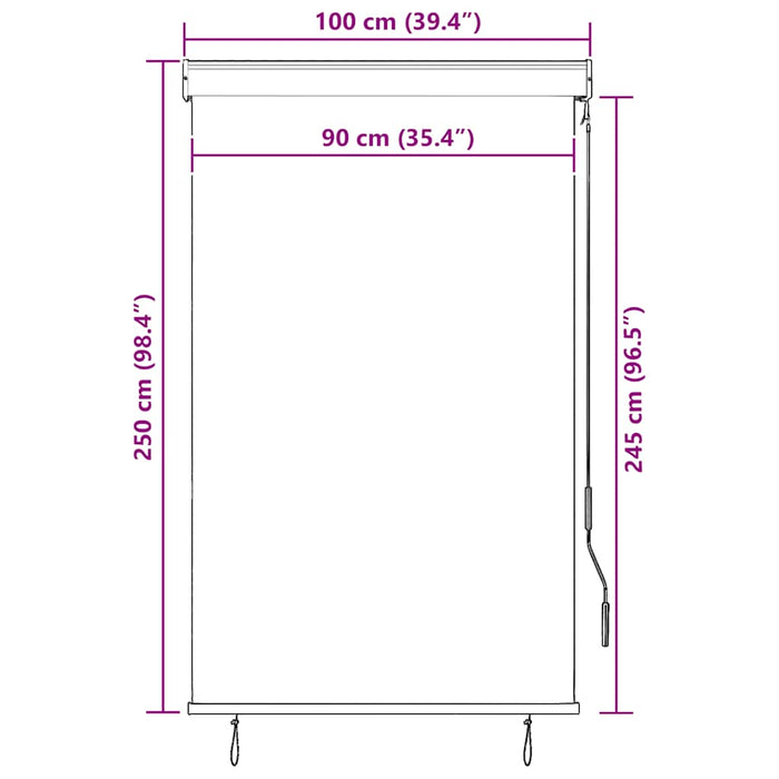 Jaluzea tip rulou de exterior, galben și albastru, 100 x 250 cm - WALTI WALTI