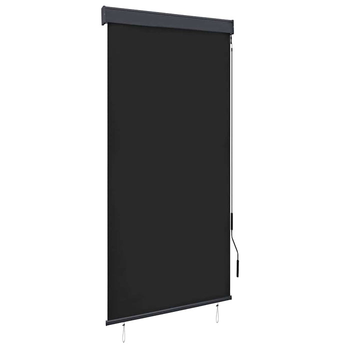 Jaluzea tip rulou de exterior, antracit, 100 x 250 cm - WALTI WALTI