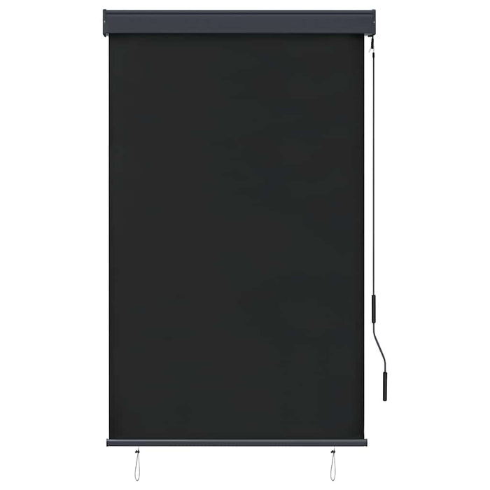 Jaluzea tip rulou de exterior, antracit, 100 x 250 cm - WALTI WALTI
