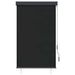 Jaluzea tip rulou de exterior, antracit, 100 x 250 cm - WALTI WALTI
