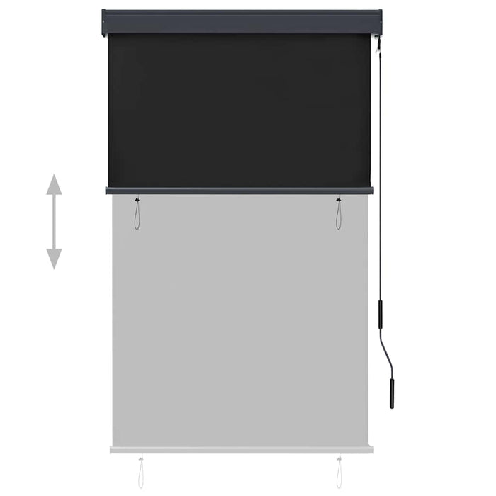 Jaluzea tip rulou de exterior, antracit, 100 x 250 cm - WALTI WALTI