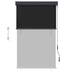 Jaluzea tip rulou de exterior, antracit, 100 x 250 cm - WALTI WALTI
